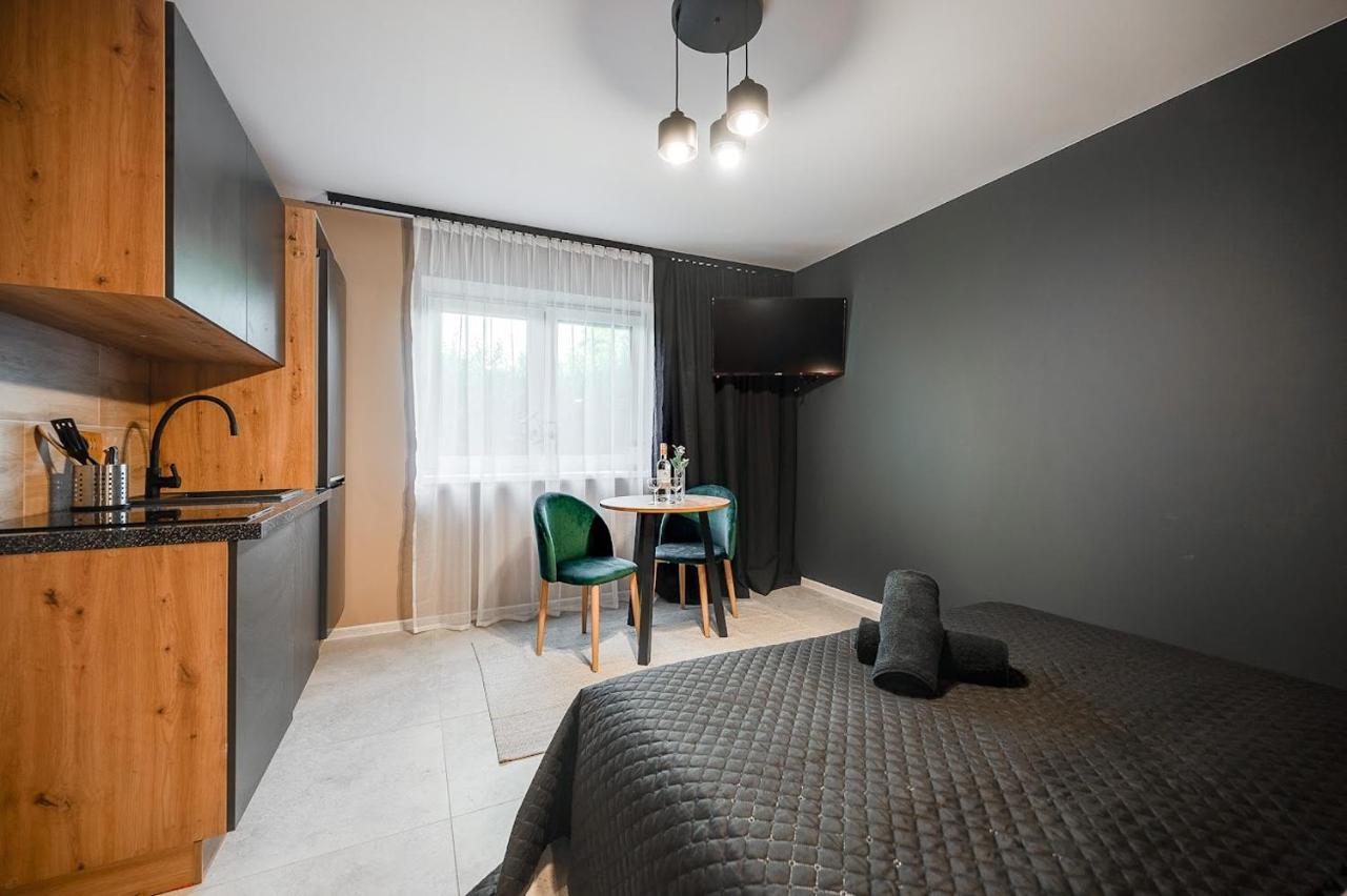 Loft House Apartment Studio Z Ogrodkiem 1 Rybnik  Exterior foto